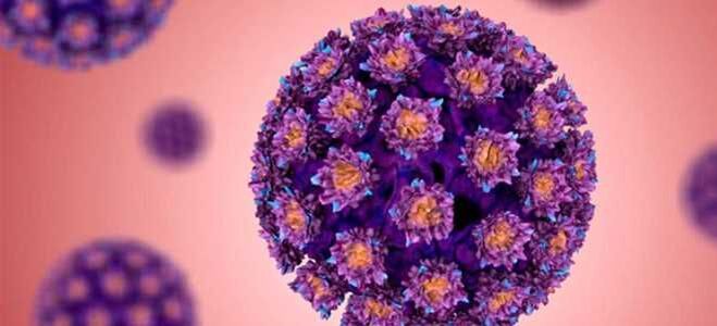 HPV - İnsan Papilloma Virüsü